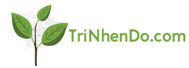 Trị Nhện Đỏ