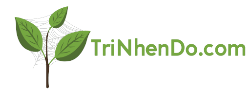 Trị Nhện Đỏ