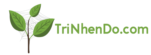 Trị Nhện Đỏ