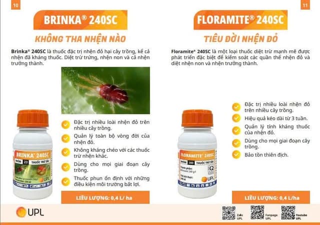 Cặp Đôi Trừ Nhện Không Có Đối Thủ Từ Công Ty UPL, Diệt Tất Cả Các Loại Nhện
