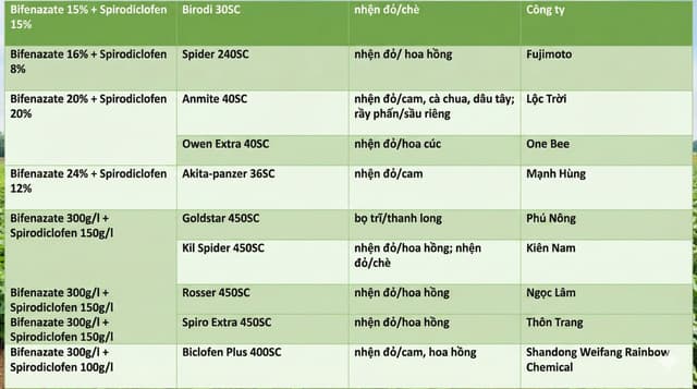 Xoay Quanh Mùa Tết Là Bàn Chuyện Nhện Đỏ, Mát Mát Tí Là Nhện Đỏ Kéo Ra Ăn Tết Kinh Hoàng, May Mà Có Công Thức Phối Bifenazate + Spirodiclofen