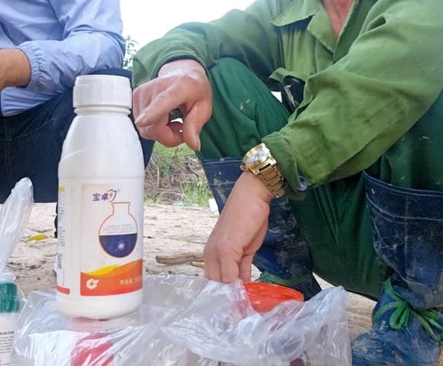 Yizuomanjing Hay Cyetpyrafen Và Câu Chuyện Thuốc Bóng Đèn Chuyên Diệt Nhện Đỏ