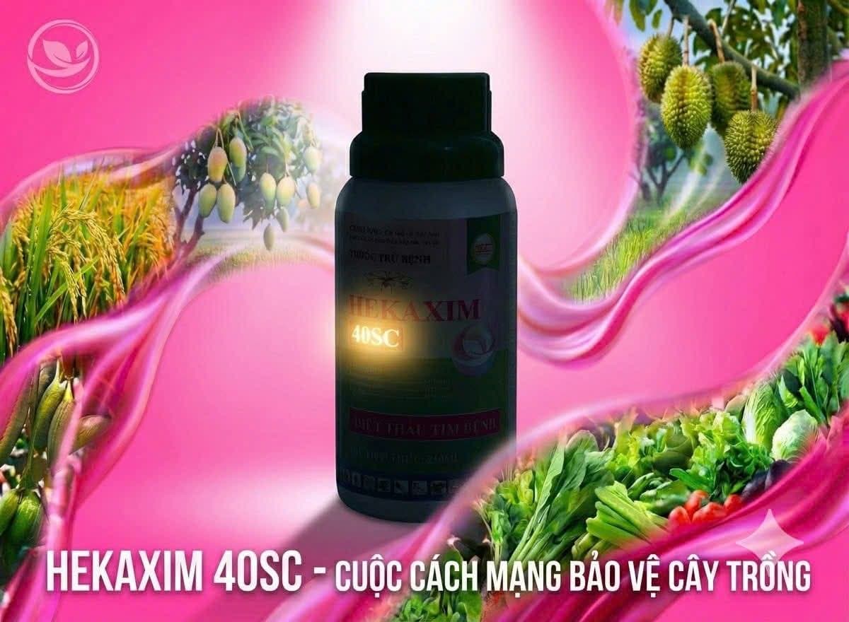 Hekaxim 40SC Với Hexaconazole 25% + Kresoxim-methyl 15% Tính Làm Cuộc Cách Mạng Gì Trong Nông Nghiệp?